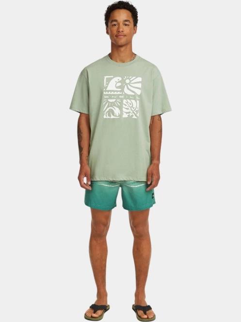 tricou cu maneci scurte pt. barbati O'Neill O'Neill Melange Front Print T-Shirt verde deschis 4