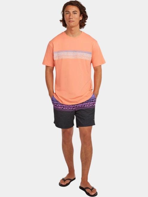 tricou cu maneci scurte pt. barbati O'Neill O'Neill Logo Stripe T-Shirt portocaliu 4