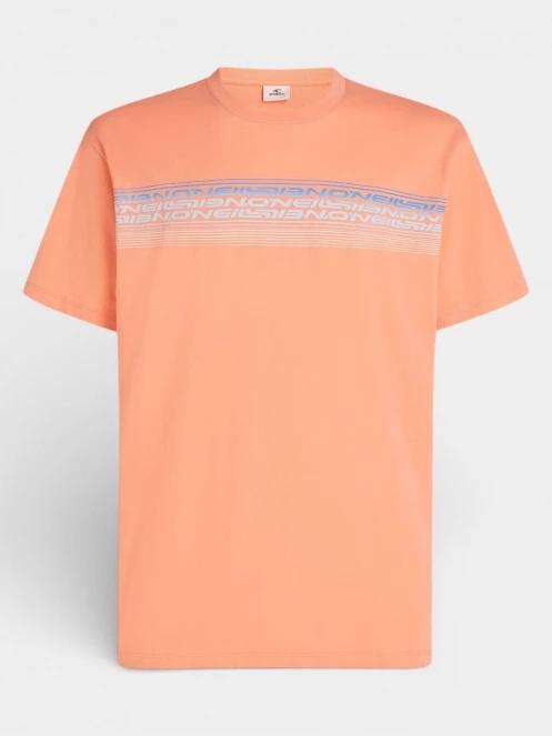 tricou cu maneci scurte pt. barbati O'Neill O'Neill Logo Stripe T-Shirt portocaliu 6