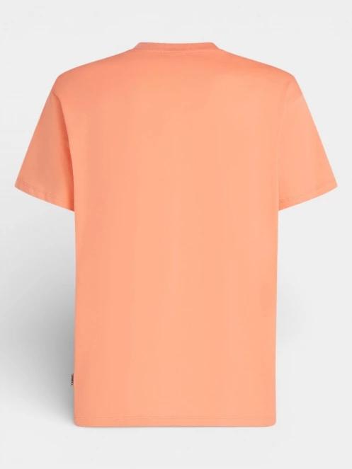 tricou cu maneci scurte pt. barbati O'Neill O'Neill Logo Stripe T-Shirt portocaliu 7