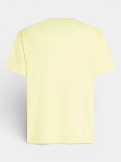 tricou cu maneci scurte pt. barbati O'Neill O'Neill Musthave Graphic T-Shirt galben 7