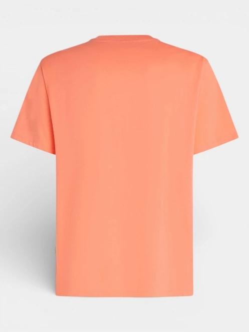 tricou cu maneci scurte pt. barbati O'Neill O'Neill Musthave Graphic T-Shirt portocaliu 7