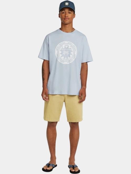 tricou cu maneci scurte pt. barbati O'Neill O'Neill Musthave Graphic T-Shirt albastru deschis 4