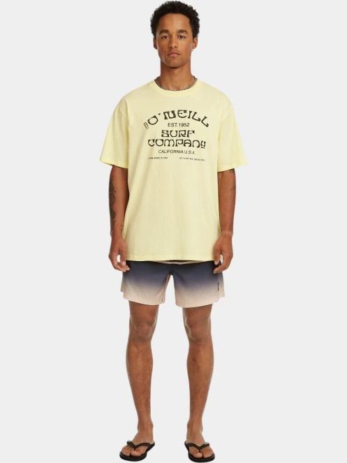 tricou cu maneci scurte pt. barbati O'Neill O'Neill Muir T-Shirt galben 4