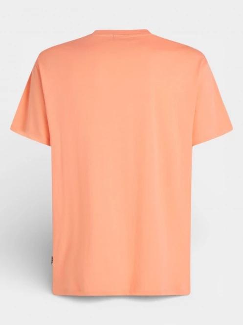 tricou cu maneci scurte pt. barbati O'Neill O'Neill Muir T-Shirt portocaliu 7