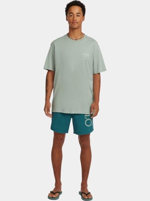 tricou cu maneci scurte pt. barbati O'Neill O'Riginals Cali T-Shirt verde deschis 4