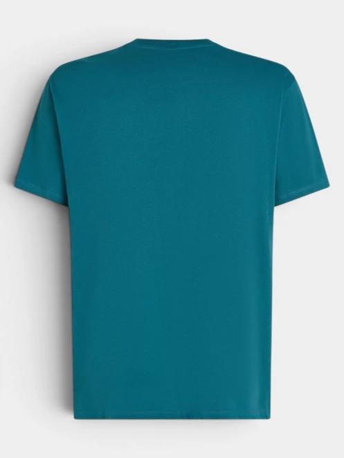 tricou cu maneci scurte pt. barbati O'Neill O'Neill Beach Chest Print T-Shirt verde 3