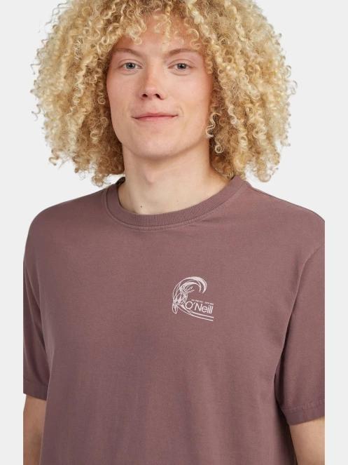 tricou cu maneci scurte pt. barbati O'Neill O'Riginals Retro Back Print T-Shirt violet 5