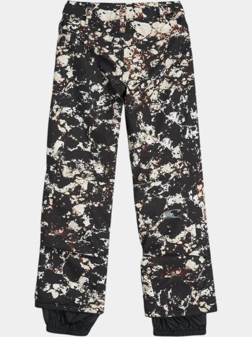 pantaloni de schi O'Neill FWC'Cruz Snow Pants negru 8