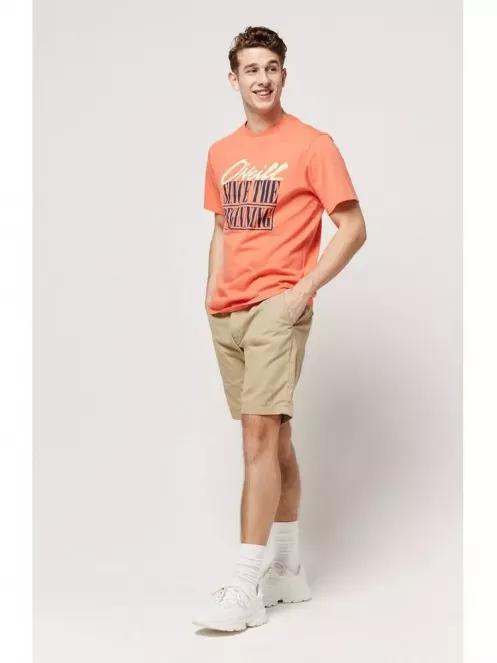 pantaloni scurti pt. barbati O'Neill LM Friday Night Chino Shorts nisip 4
