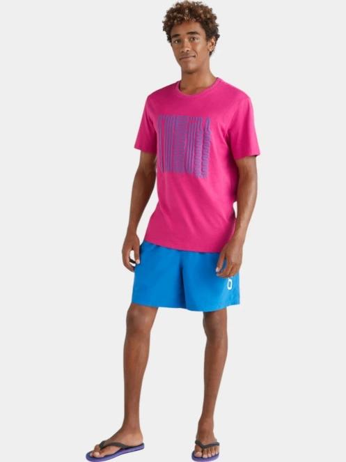 sort de plaja pt. barbati O'Neill Cali 16'' Swimshorts albastru 5