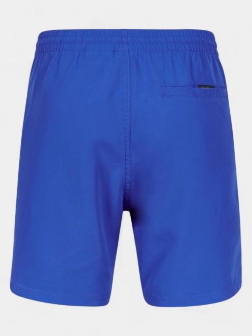 sort de plaja pt. barbati O'Neill Cali 16'' Swimshorts albastru 8