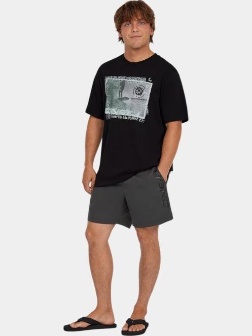 sort de plaja pt. barbati O'Neill Cali 16'' Swimshorts gri 5