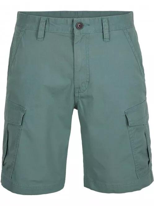 pantaloni scurti cu buzunare laterale pt. barbati O'Neill Beach Break Cargo Shorts verde 2