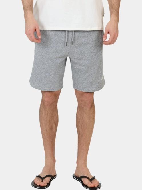 pantaloni scurti de trening pt. barbati O'Neill O'Neill Small Logo Sweatshorts gri 2