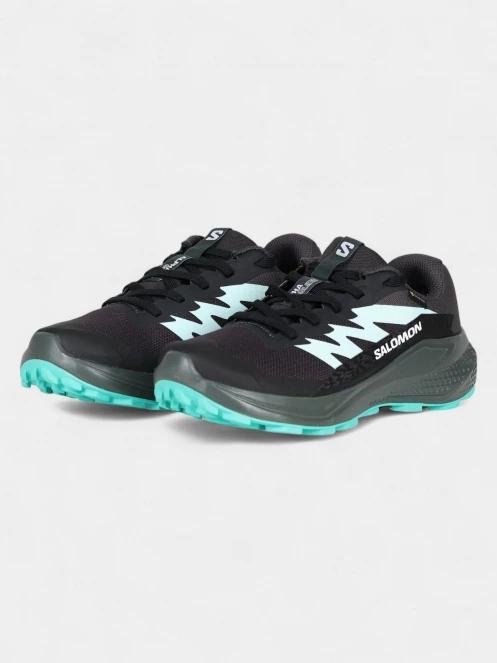 pantofi pentru alergat pe asfalt pt. femei Salomon Alphaglide GTX W negru 4