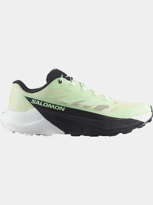 pantofi pentru alergare pt. femei Salomon Pulsar W verde deschis 3