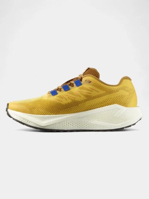 pantofi pentru alergare pt. barbati Salomon Aero Blaze 3 GRVL galben 4