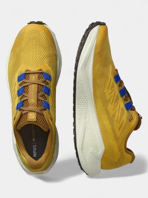 pantofi pentru alergare pt. barbati Salomon Aero Blaze 3 GRVL galben 6