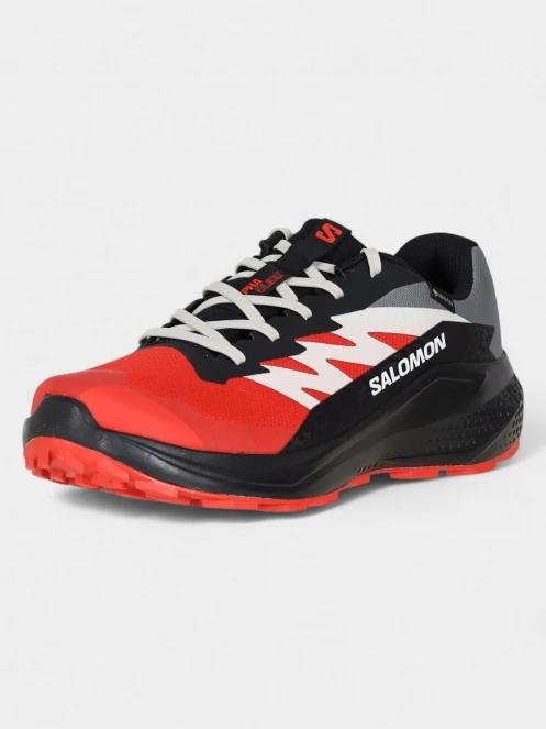 pantofi pentru alergare pt. barbati Salomon Alphaglide GTX rosu 2