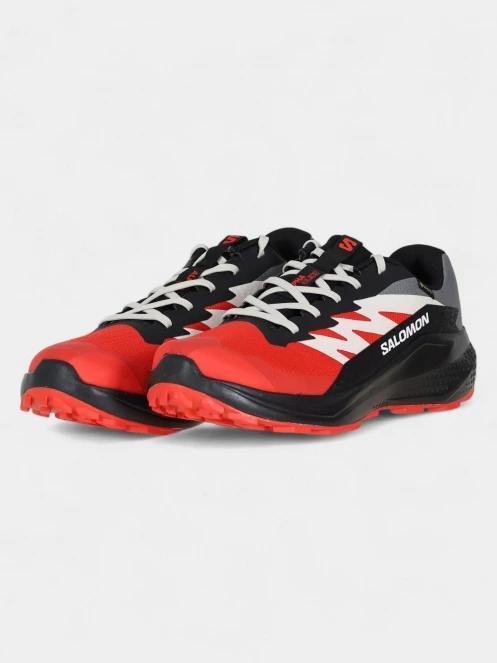 pantofi pentru alergare pt. barbati Salomon Alphaglide GTX rosu 5