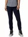pantaloni de drumetie pt. femei Columbia Mt Powder Pant albastru 1