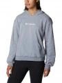 pulover cu gluga pt. femei Columbia Columbia Logo III French Terry Hoodie gri 1