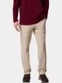 pantaloni de drumetie pt. barbati Columbia Sage Peak Chino Pant nisip 1