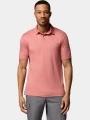 tricou cu guler pt. barbati Columbia Parsons Point Polo roz 1