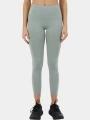 pantaloni de sport pt. femei Fundango Fade Leggings verde 1