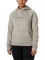 pulover cu gluga pt. femei Helly Hansen W Core Hoodie gri 1