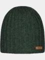 sapca pt. barbati Barts Haakon Beanie verde 1