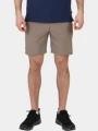 pantaloni scurti pentru drumetii pt. barbati Fjallraven Abisko Trail Stretch Shorts M maro 1
