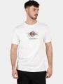 tricou cu maneci scurte pt. barbati Nautica Tralee T-Shirt alb 1