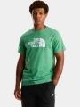 tricou cu maneci scurte pt. barbati The North Face M Evolution Half Dome Regular Short Slee verde 1