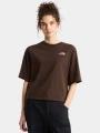 tricou cu maneci scurte pt. femei The North Face W Hike Picnic Boxy Ss Tee-Graphic maro 1