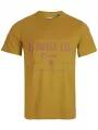 tricou cu maneci scurte pt. barbati O'Neill LM W-Coast T-Shirt galben 1