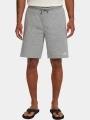 pantaloni scurti de trening pt. barbati O'Neill O'Neill Small Logo Sweatshorts gri 1