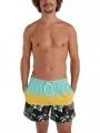 sort de plaja pt. barbati O'Neill Mix & Match Cali Block 15'' Swim Shorts albastru deschis 1