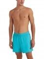 Jack O'Neill Vert Retro 14'' Swim Shorts