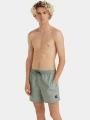 sorturi de baie pentru barbati pt. barbati O'Neill Jack O'Neill Cali First 15'' Swim Shorts verde 1
