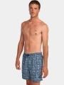 sorturi de baie pentru barbati pt. barbati O'Neill O'Neill Print 16'' Swimshorts albastru 1