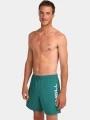 sorturi de baie pentru barbati pt. barbati O'Neill O'Neill Logo 16'' Swimshorts verde inchis 1