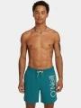 sorturi de baie pentru barbati pt. barbati O'Neill O'Neill Cali 16'' Swimshorts verde 1