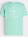 tricou cu maneci scurte pt. barbati O'Neill O'Neill Beach Front Print T-Shirt albastru deschis 1