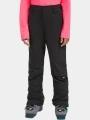 pantaloni de schi O'Neill FWC'Cruz Snow Pants negru 1