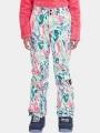 pantaloni de schi O'Neill FWC'Cruz Snow Pants multicolor 1